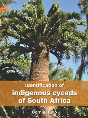 Identification of indigenous cycads