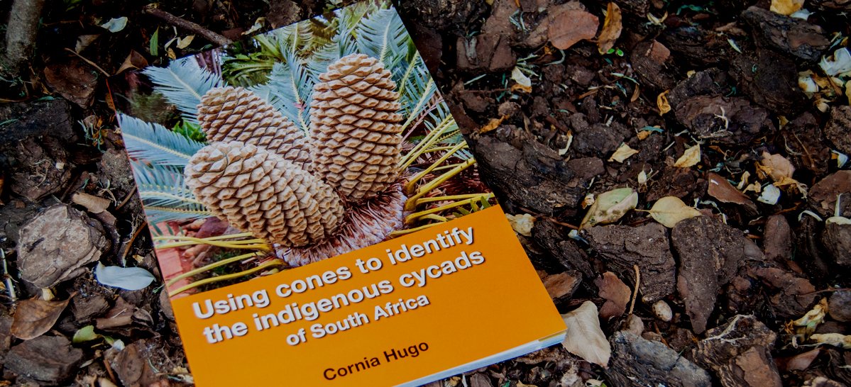 Book on how to identify indigenous cycads of South Africa by their cones.