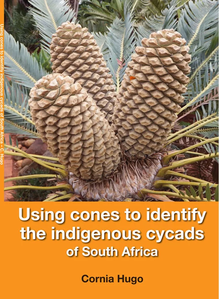Using Cones to Identify Indigenous Cycads of South Africa book cover