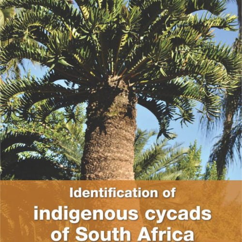Identification of Indigenous Cycads of South Africa book cover