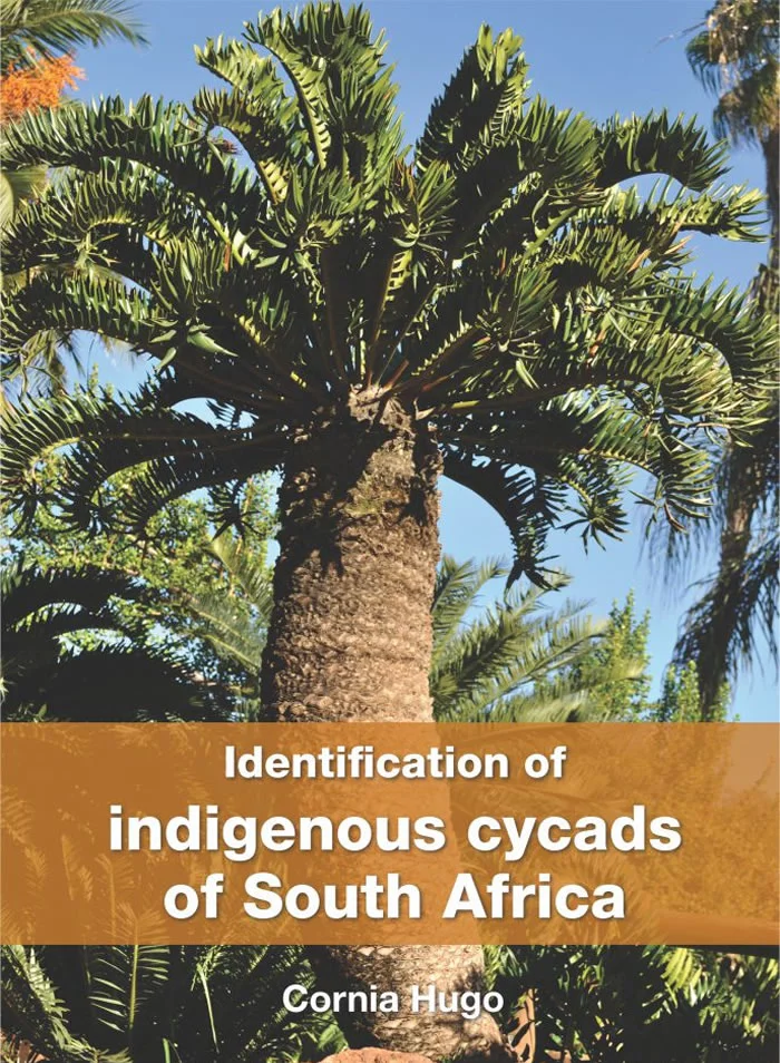 Identification of Indigenous Cycads of South Africa book cover