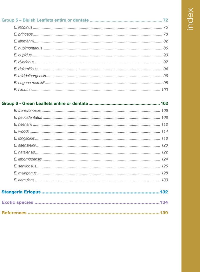 Identification of Indigenous Cycads of South Africa index page 2